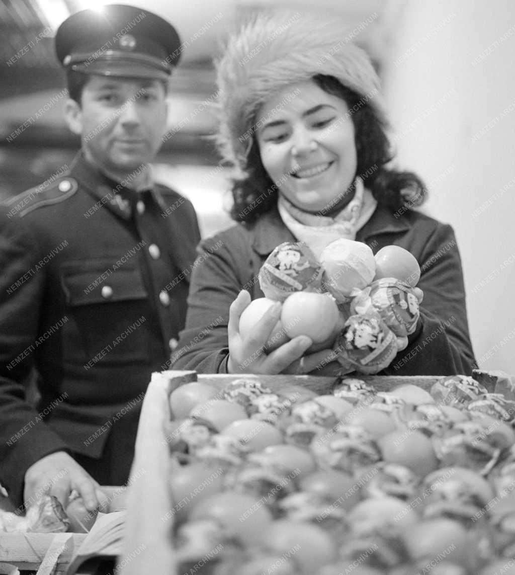 Életkép - Kereskedelem - Csomagolt almák exportra