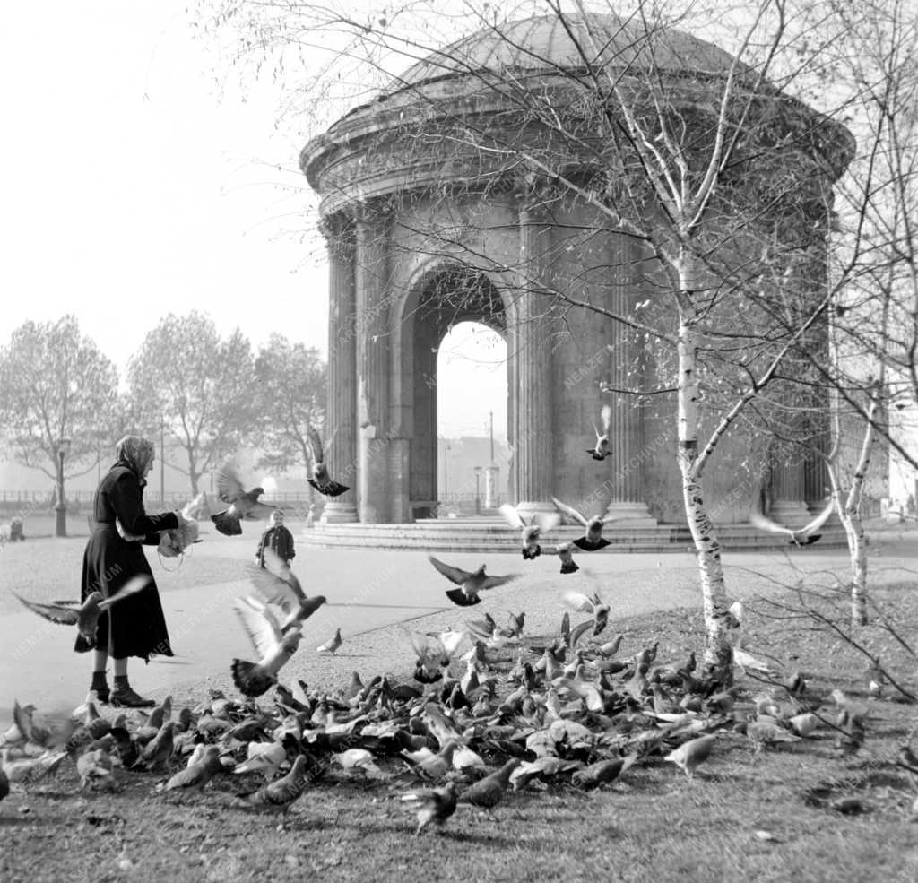 Életkép - Pesti pillanatok