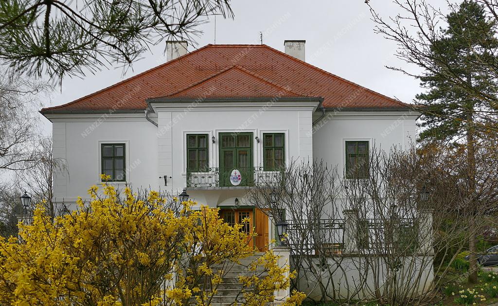 Település - Felsőmocsolád - Kacskovics–Bánó-kastély