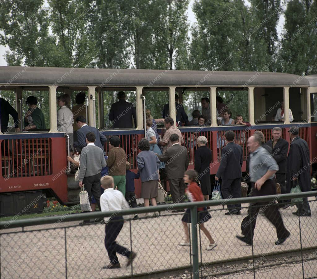 Közlekedés - Szervezet - Úttörővasút