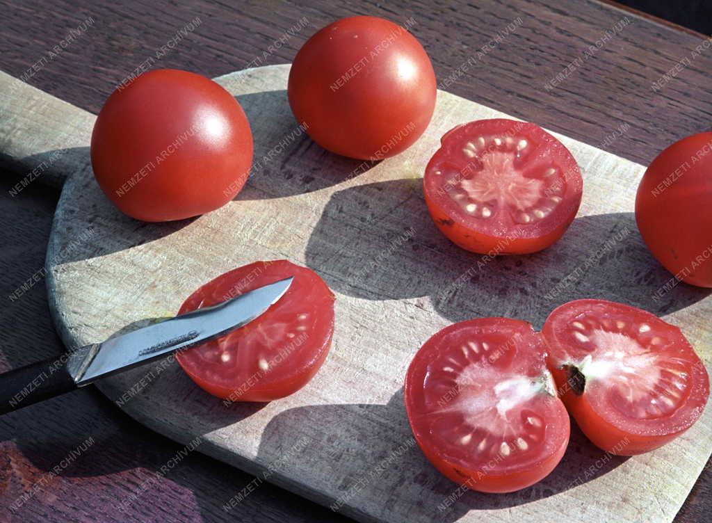 Mezőgazdaság - Paradicsomtermés