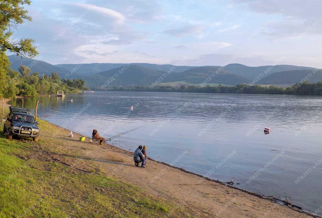 Természet - Zebegény - Duna-part