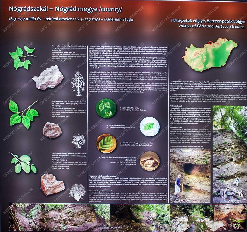 Kultúra - Miskolc - Új kiállítóhely - Pannon-tenger Múzeum