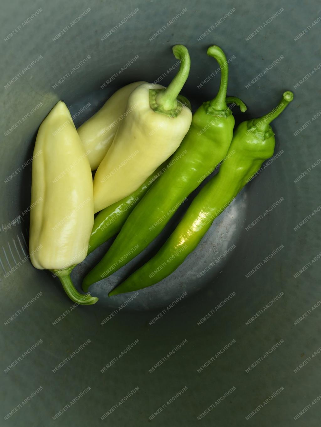 Mezőgazdaság - Primőr paprika Ebesről