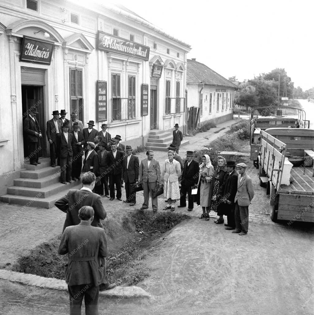 Mezőgazdaság - Tszcs-szervezés