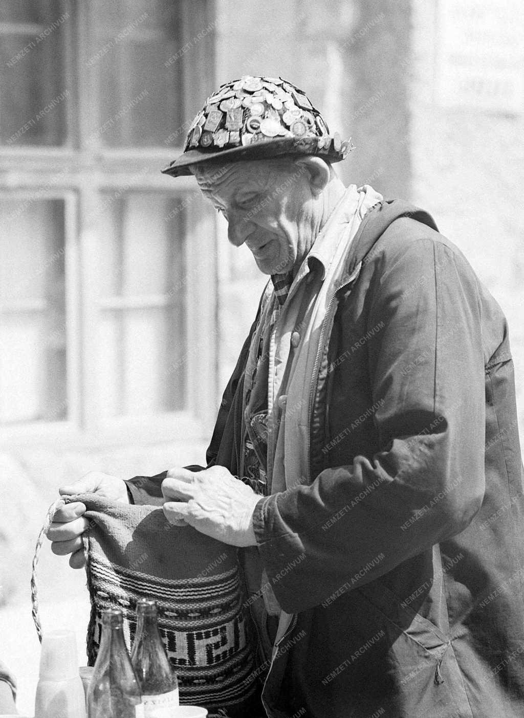 Természet-környezet - A kevélynyergi menedékháznál