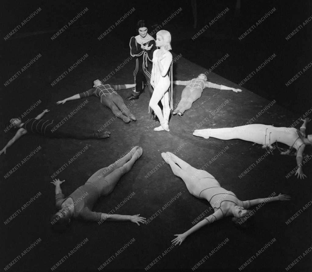 Kultúra - Balett - Hidas Frigyes: Concerto a szivárvány színeire