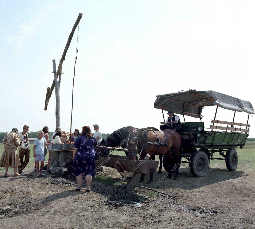 Turizmus – Idegenforgalom a Hortobágyon