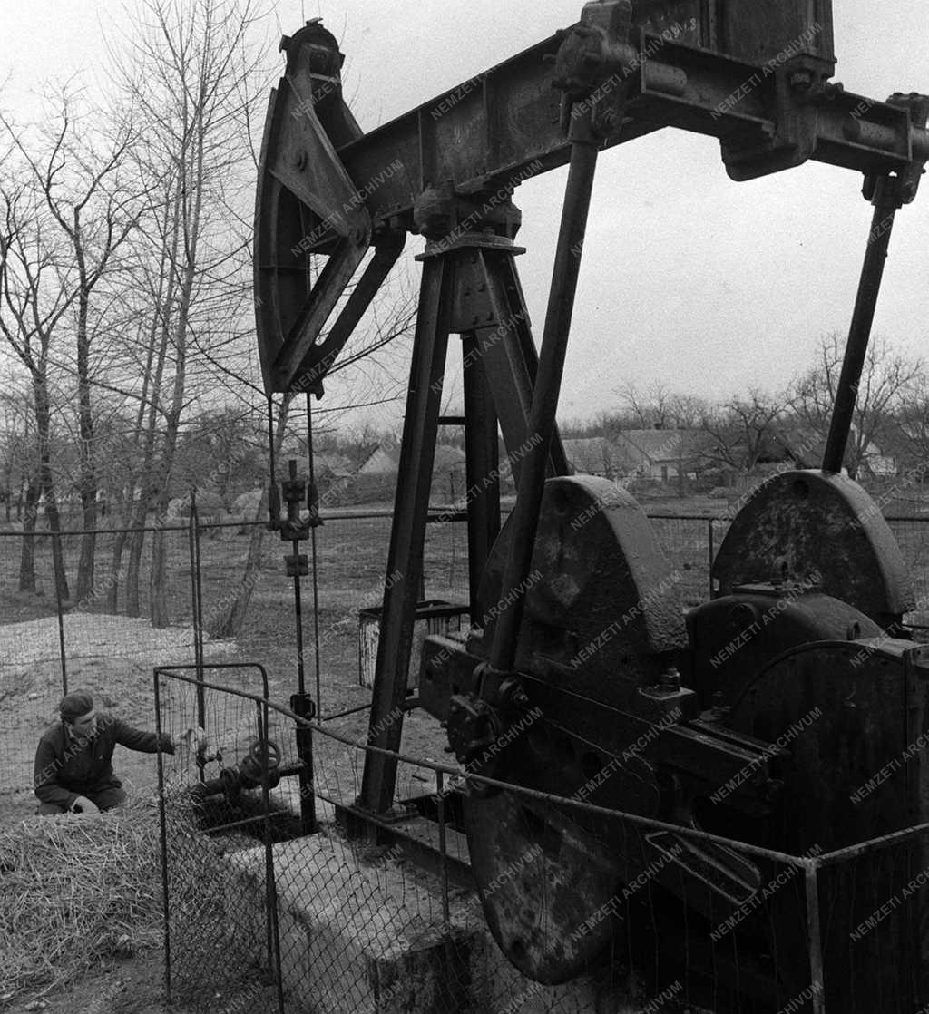 A szerző válogatása - Buzsák