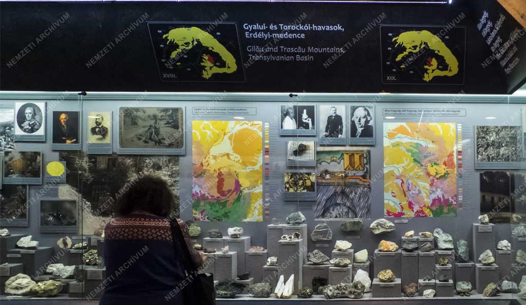 Kultúra - Miskolc - Új kiállítóhely - Pannon-tenger Múzeum