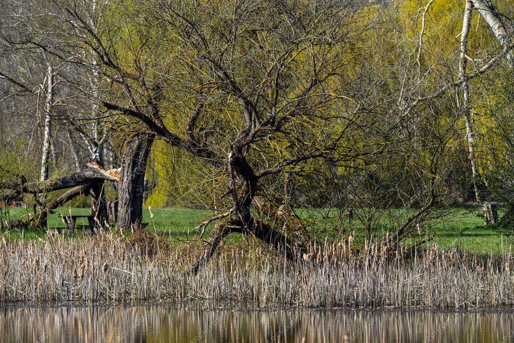 Tájkép - Vekeri-tó