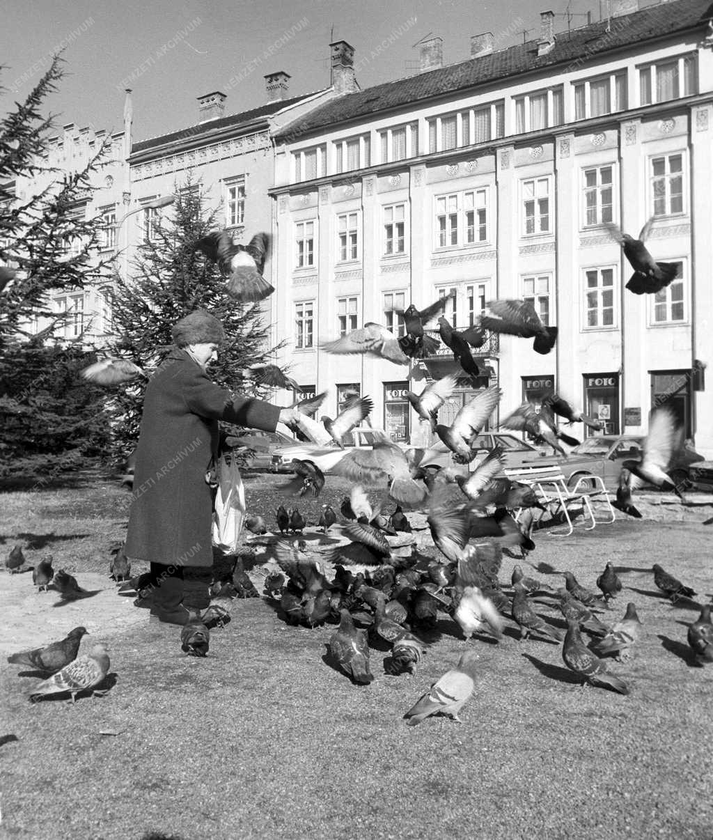 Turizmus – Sopron az idegenforgalmi szezon előtt