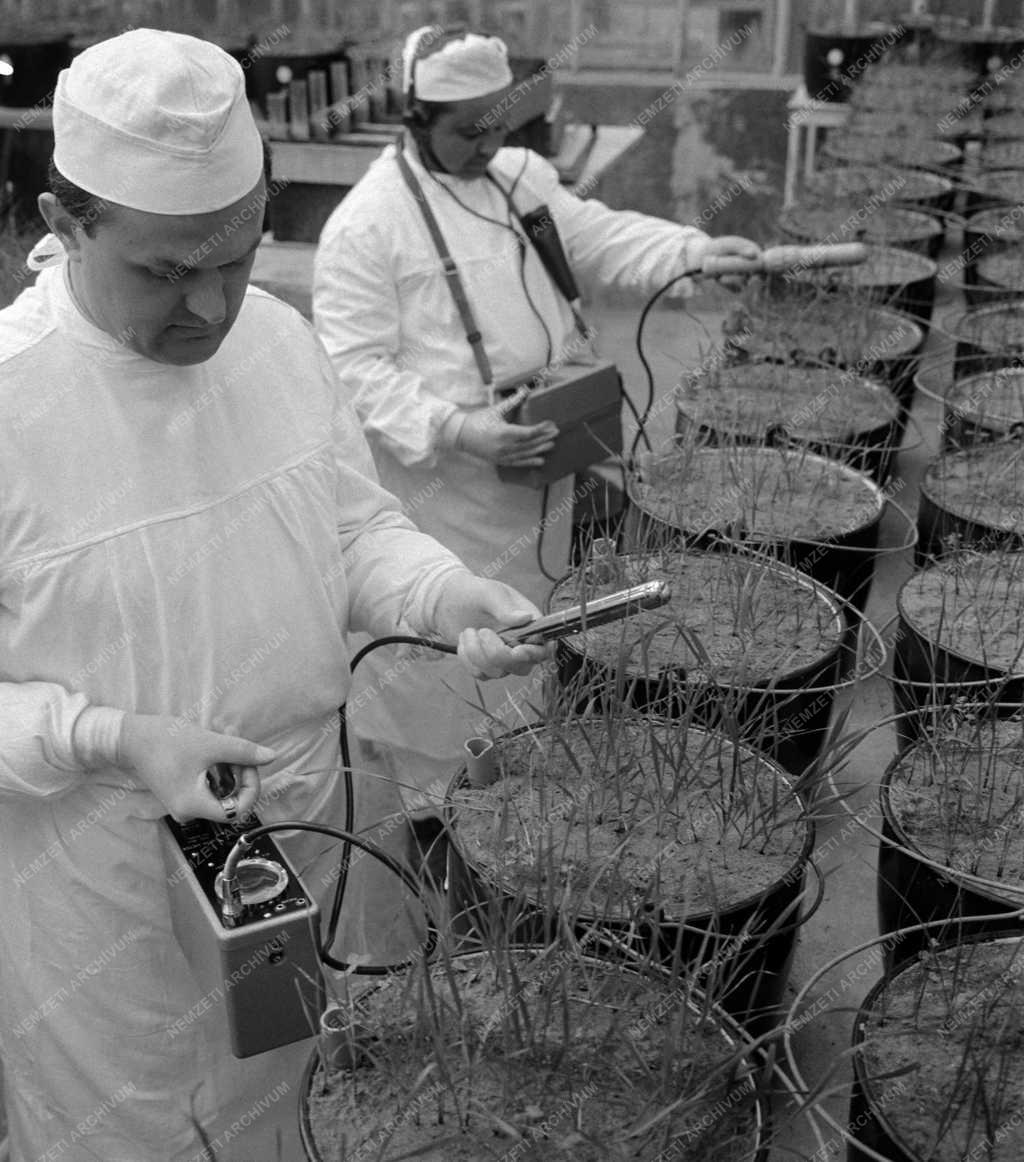 Tudomány - Mosonmagyaróvári Agrártudományi Főiskola Izotóplaboratórium