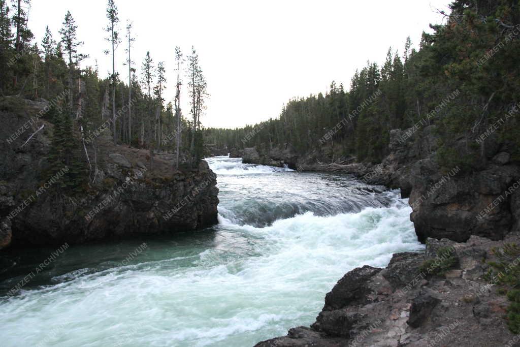 Természet - A Lewis folyó a Yellowstone Nemzeti Parkban