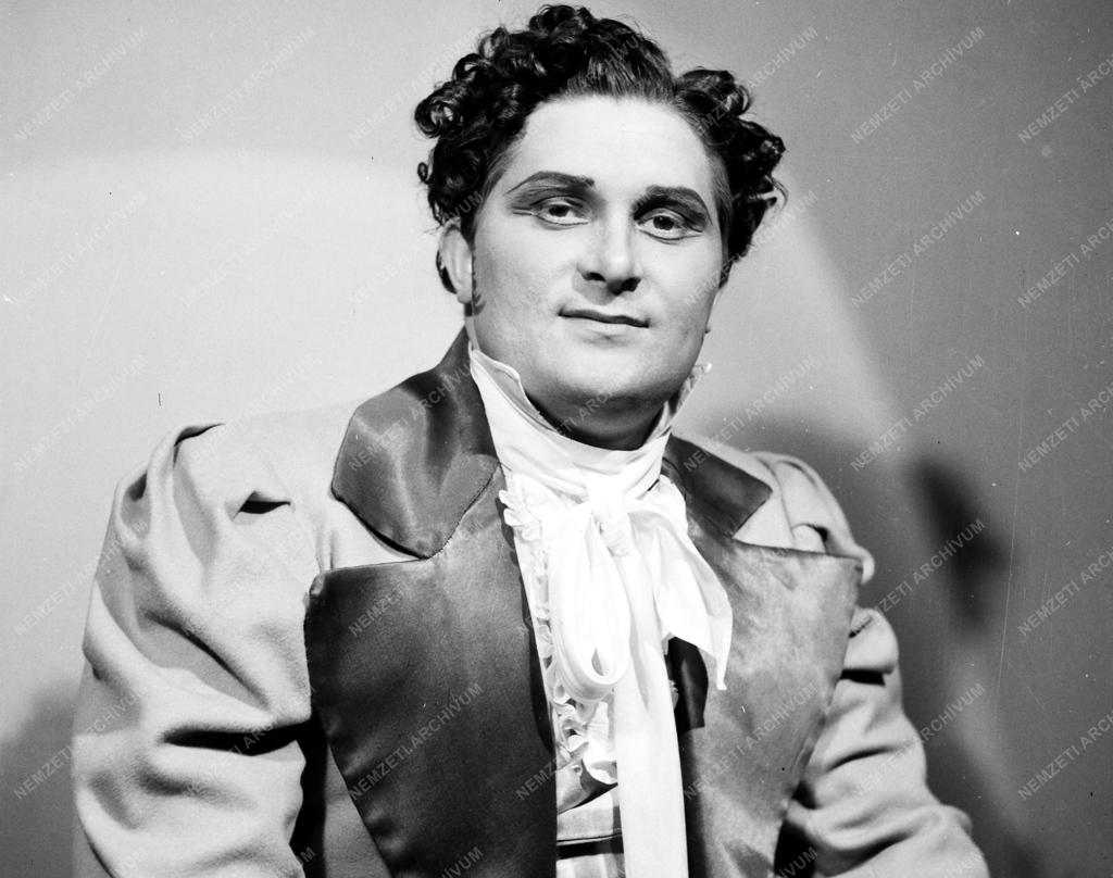 Kultúra - Gaetano Donizetti: Don Pasquale - Városi Színház