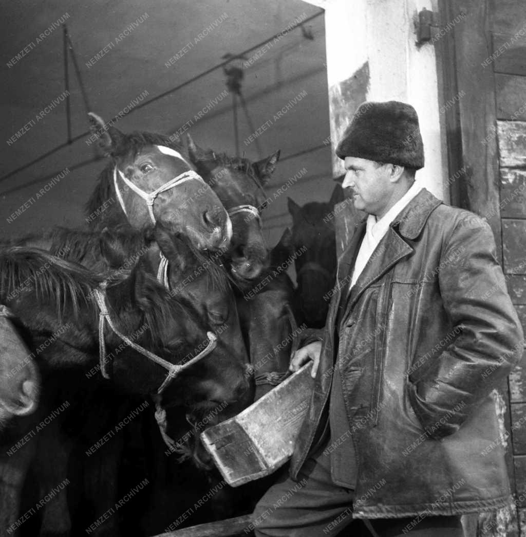 A Herceghalmi Kisérleti Gazdaságban