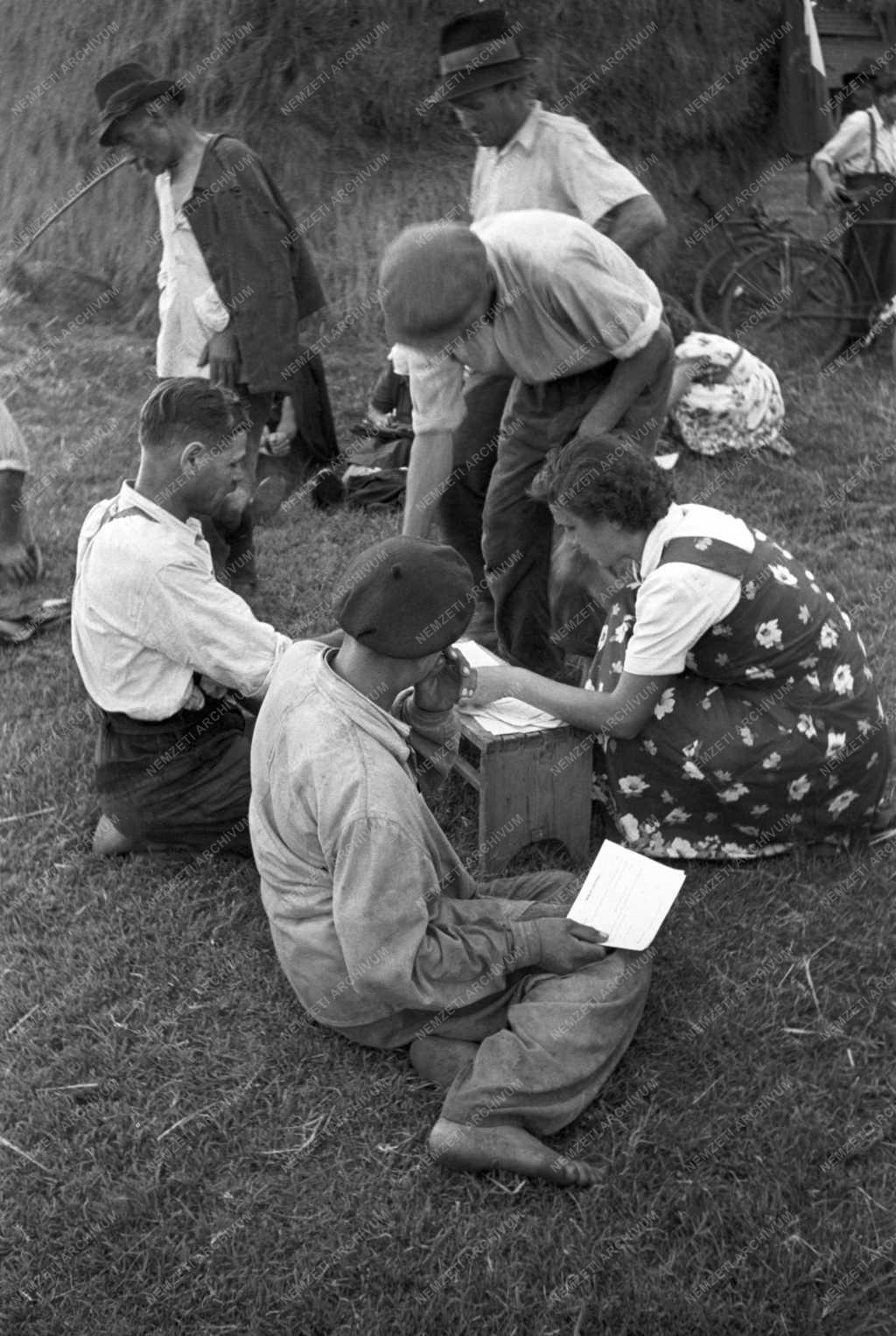 Mezőgazdaság - Cegléd szövetkezeti várossá alakul