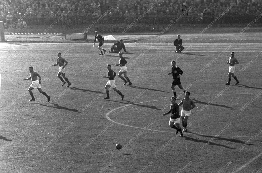 Sport - Labdarúgó mérkőzés