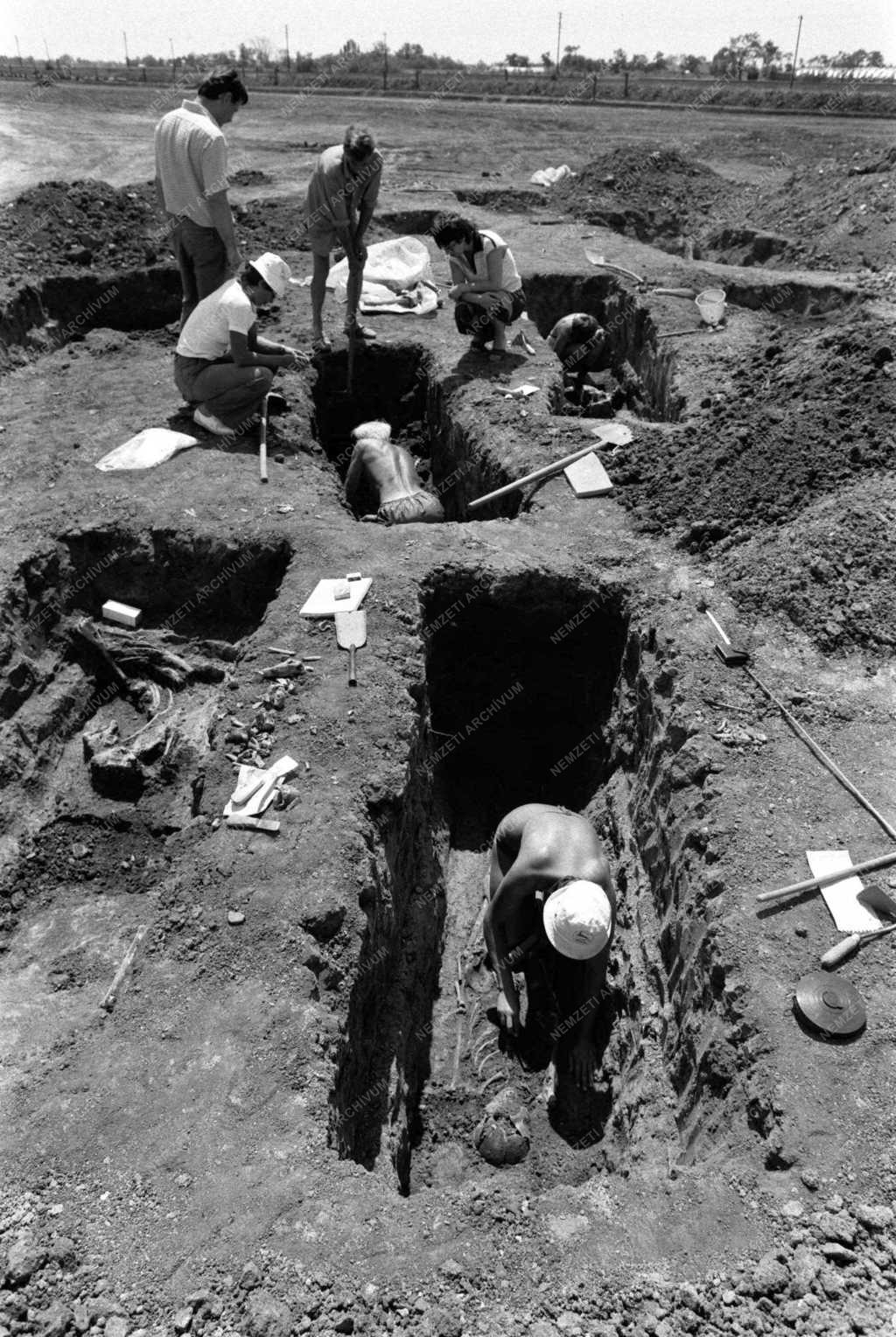 Avarkori temető feltárása Szarvason