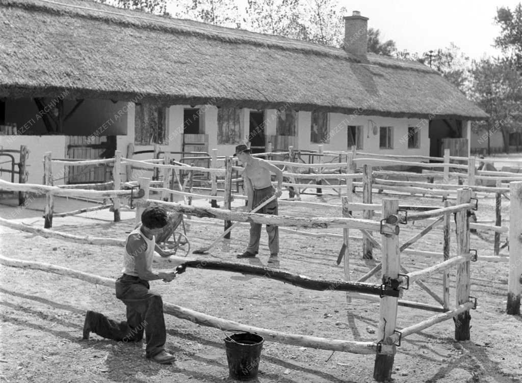 Mezőgazdaság - Nyitás előtt a 64. Országos Mezőgazdasági Kiállítás és Vásár