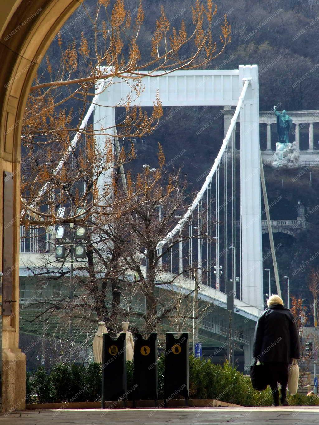 Táj, város - Budapest - Erzsébet híd