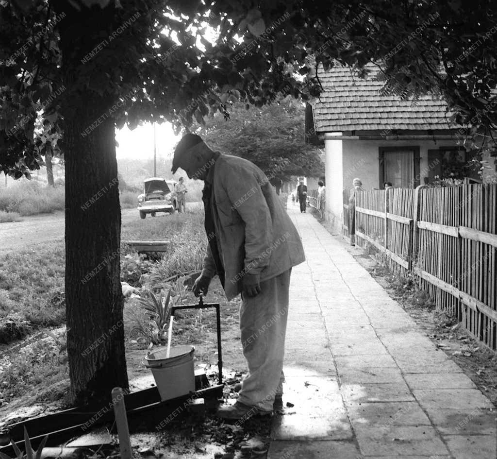 Fiatalodó száz éves bányatelep