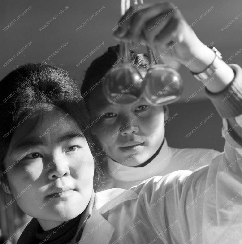 Oktatás - Mongólia - Ulanbátor - Orvosi Egyetem