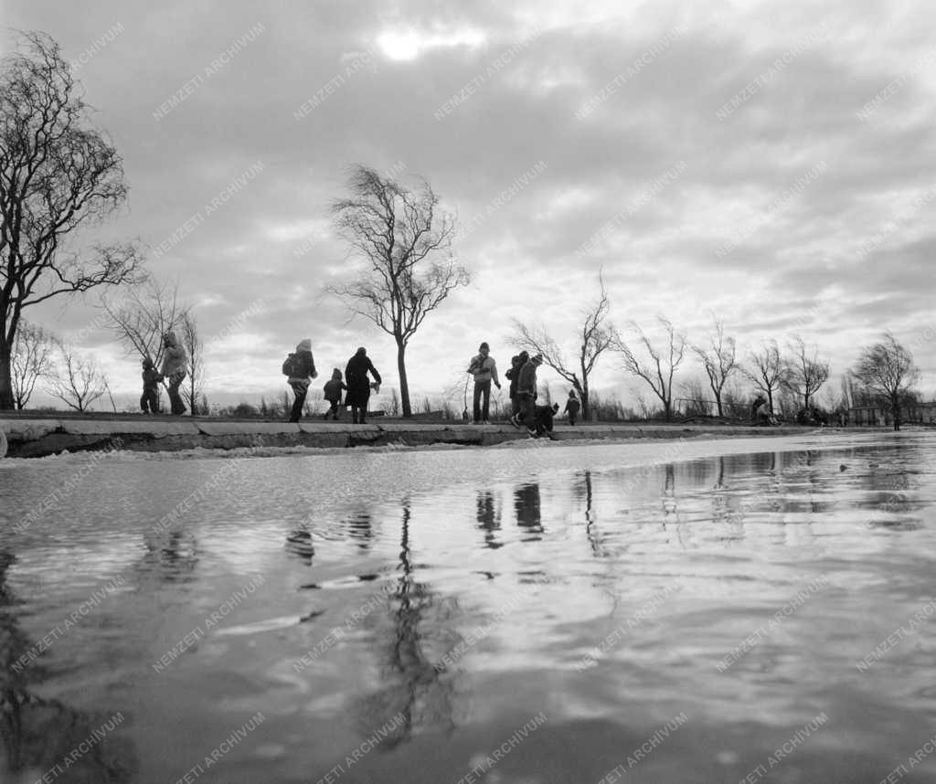 Természet - Olvad a Velencei-tó jege 