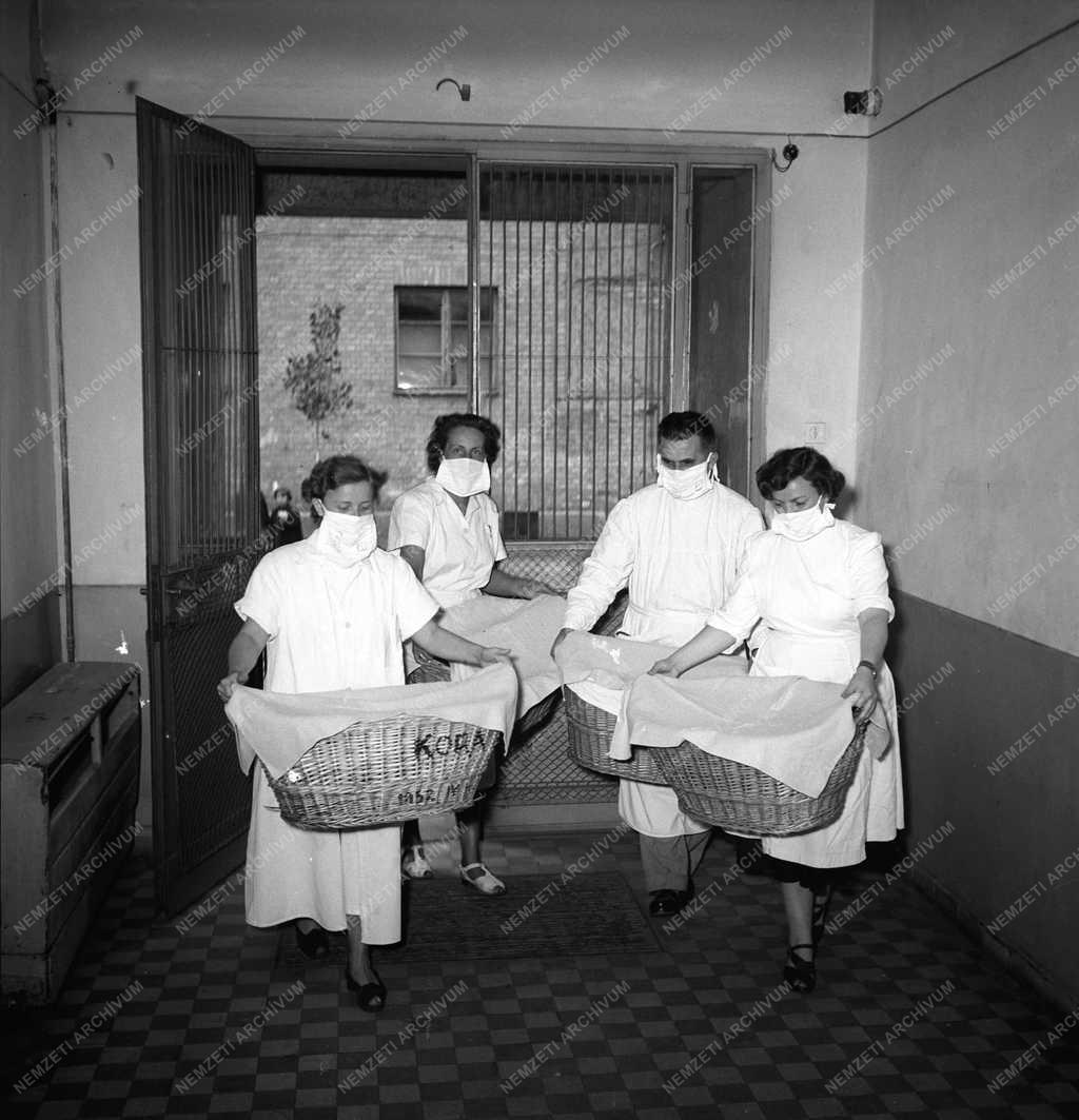 Egészségügy - A Csordás-ikrek