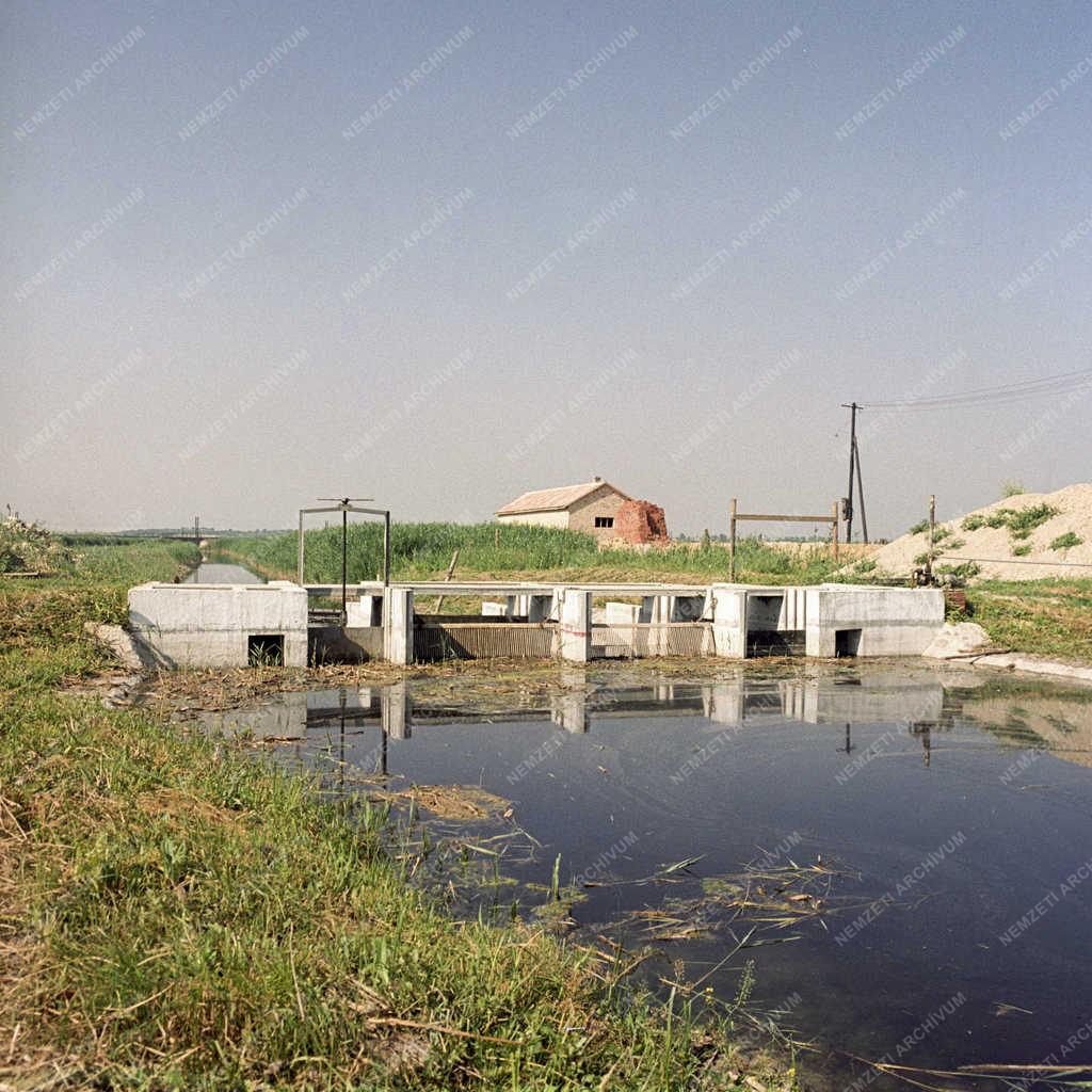 Vízgazdálkodás - Zsilip