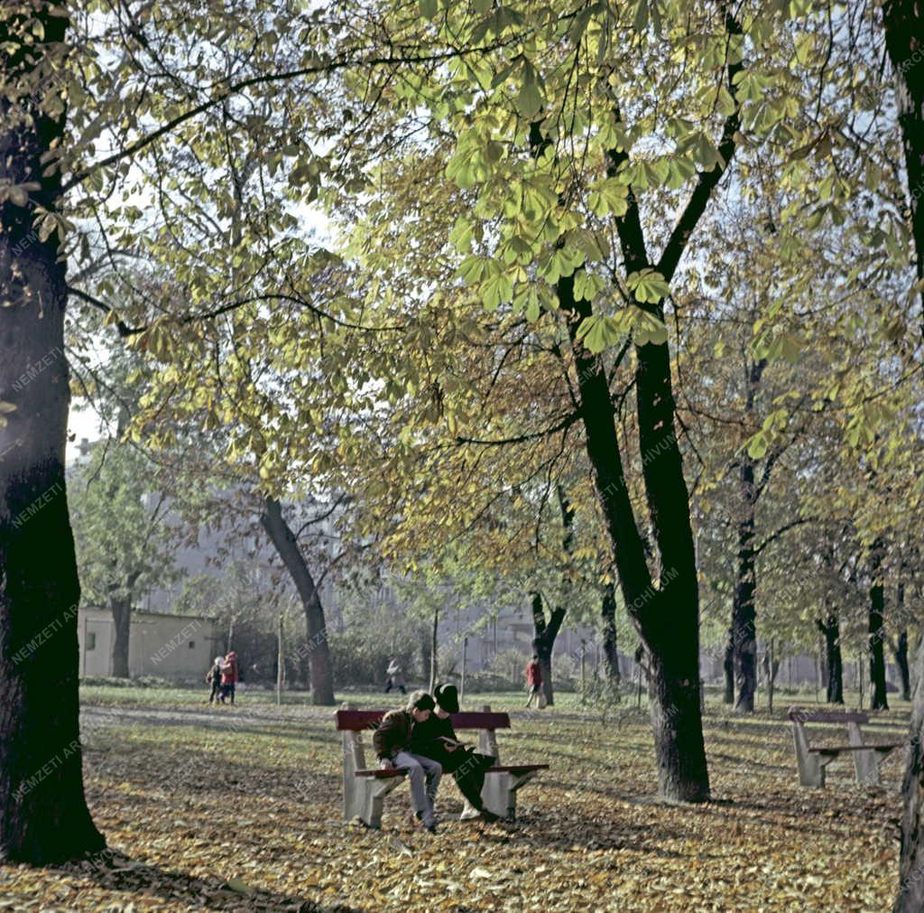 Életkép - Parkban olvasó fiúk