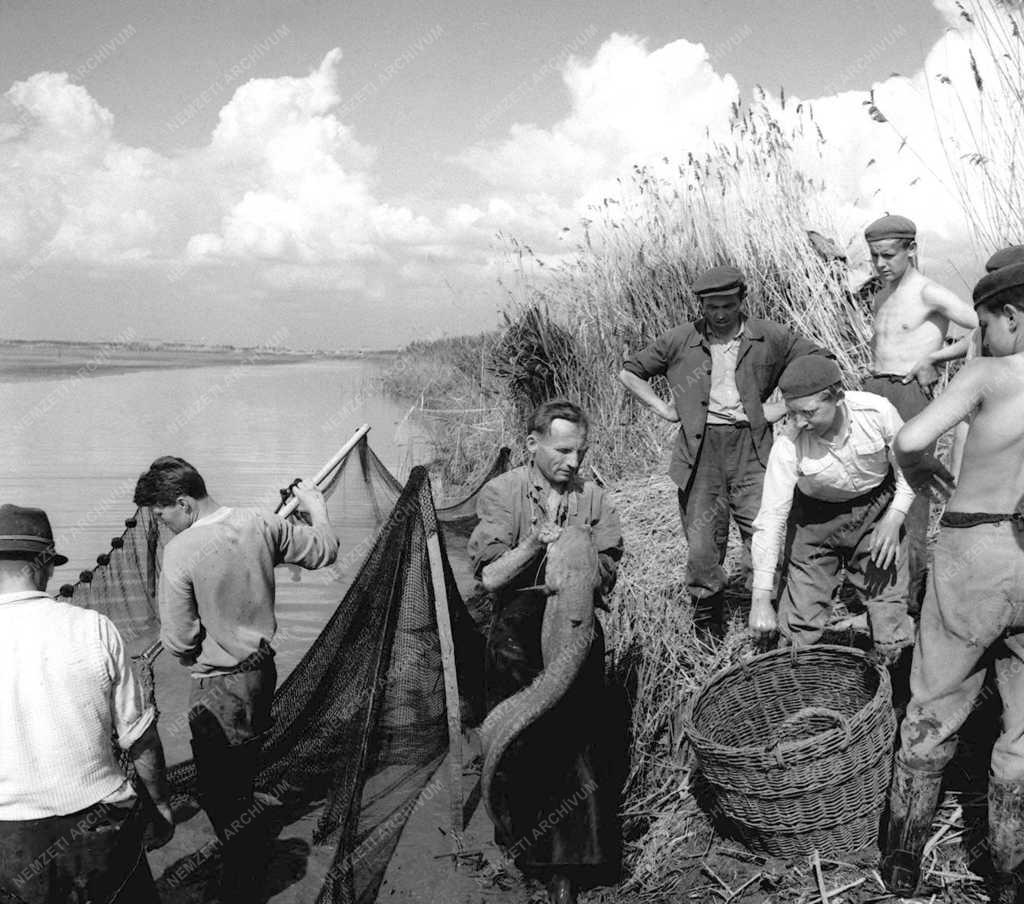 Mezőgazdaság - Hortobágy