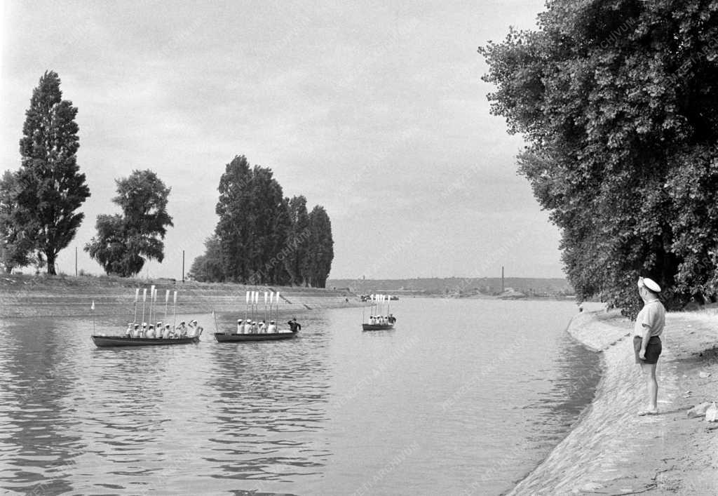 Szervezet - Váci Úttörő Dunai Flottilla 