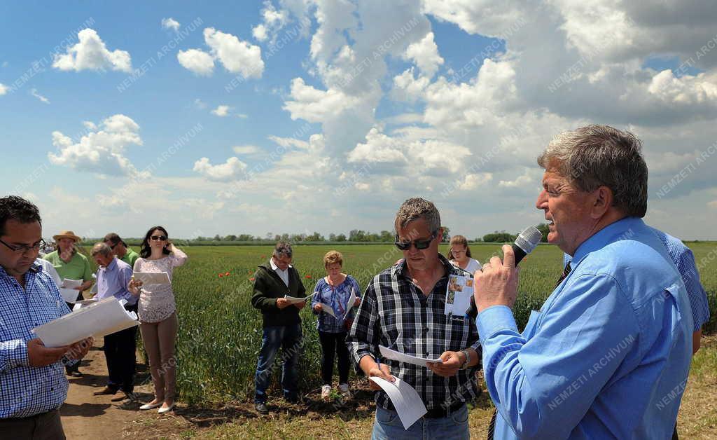 Mezőgazdaság - Debrecen-Látókép - Búza és repce tanácskozás