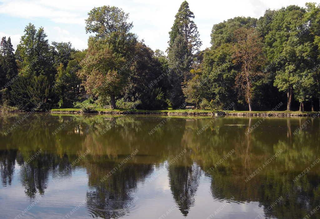 Természet - Dénesfa - A Cziráky-kastély védett parkja