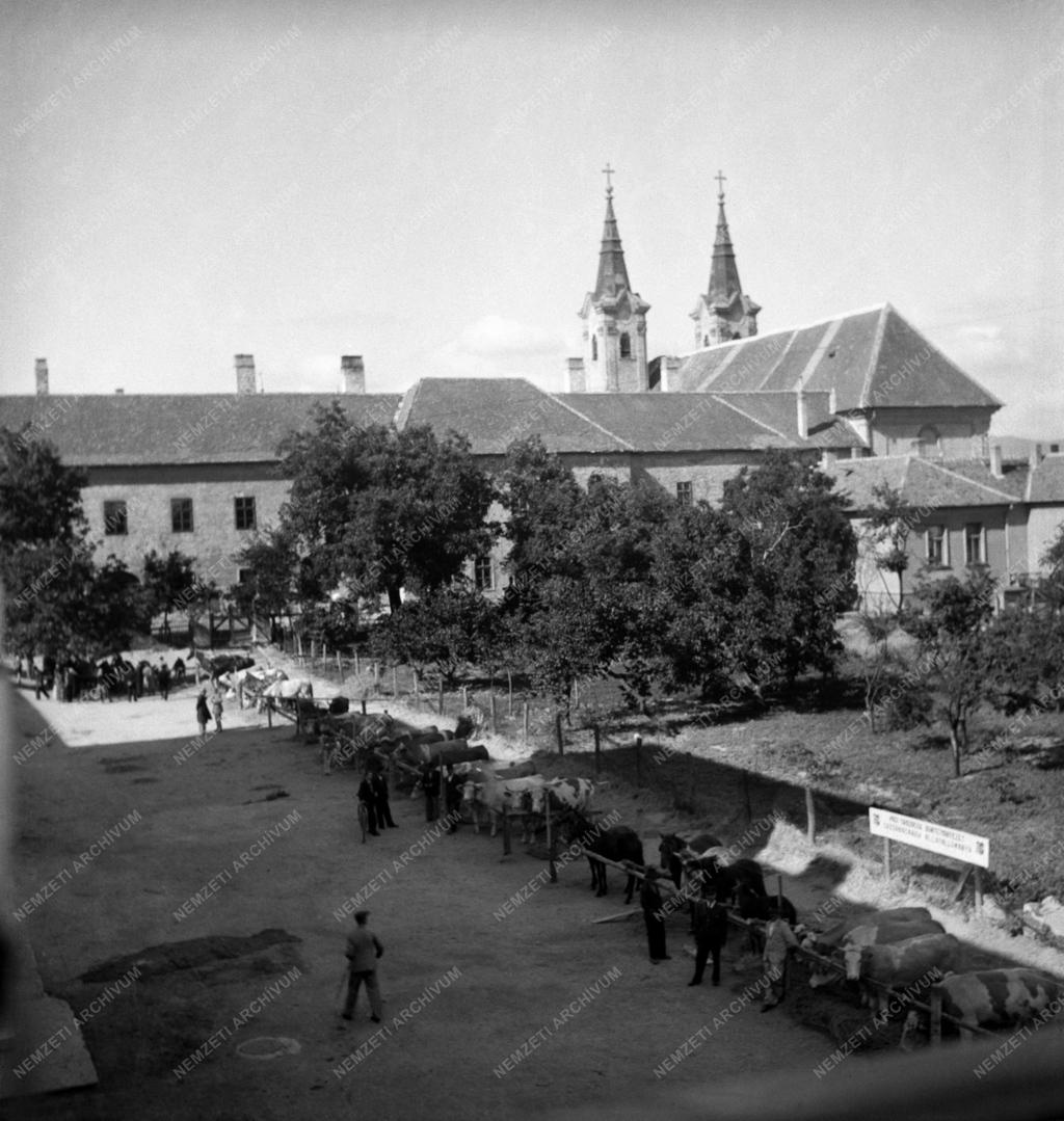 Gazdaság - Ipari és mezőgazdasági vásár Szegeden