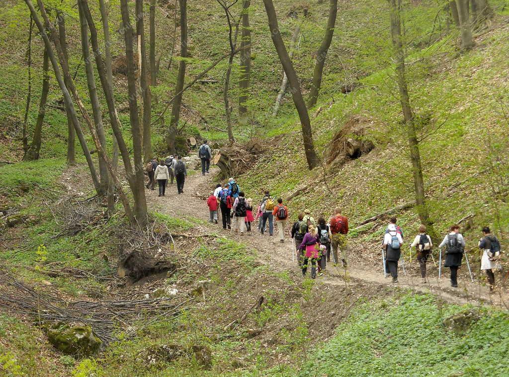 Vértes -  Természetjárás - Nordic Walkingozók 