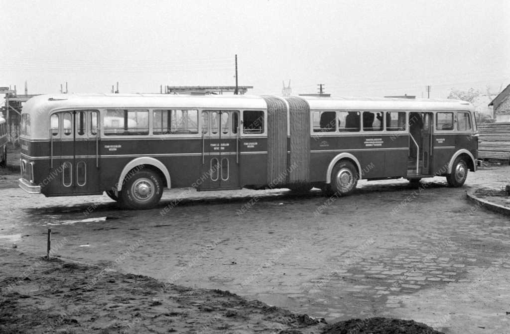 Járműipar - Csuklós buszokat állított forgalomba a FAÜ