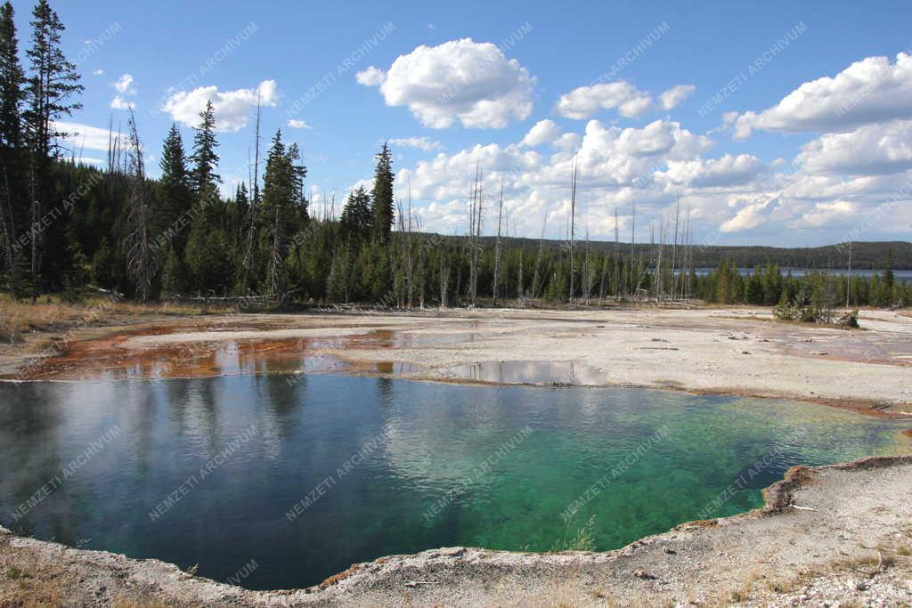 Természet - Yellowstone Nemzeti Park