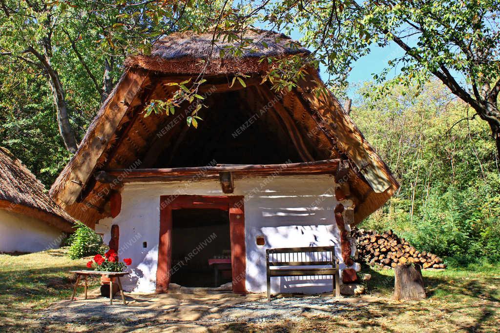 Szabadidő - Velem - Gesztenyenapok