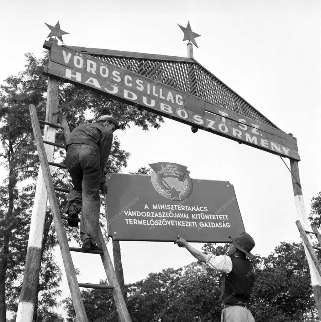 Mezőgazdaság - Vörös Csillag Termelőszövetkezet