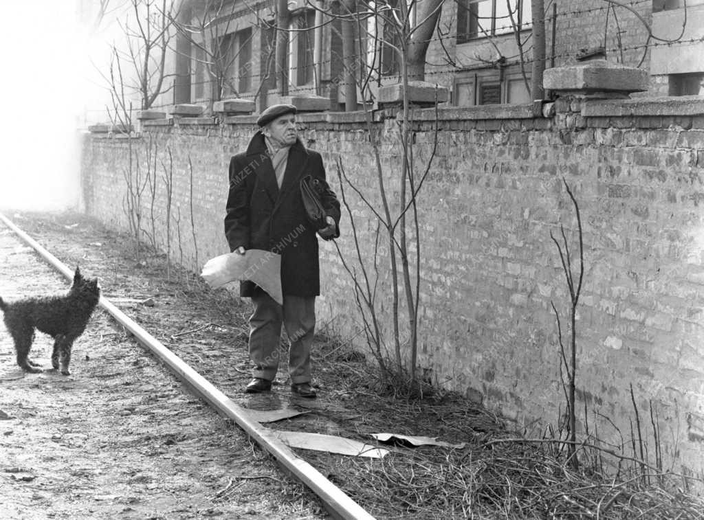 Kultúra - Film - A téglafal mögött c. tv film forgatása