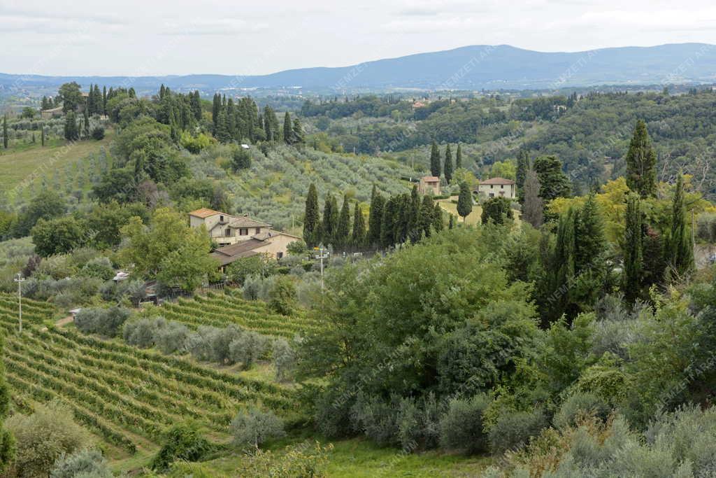 Tájkép - San Gimignano - Toszkán táj