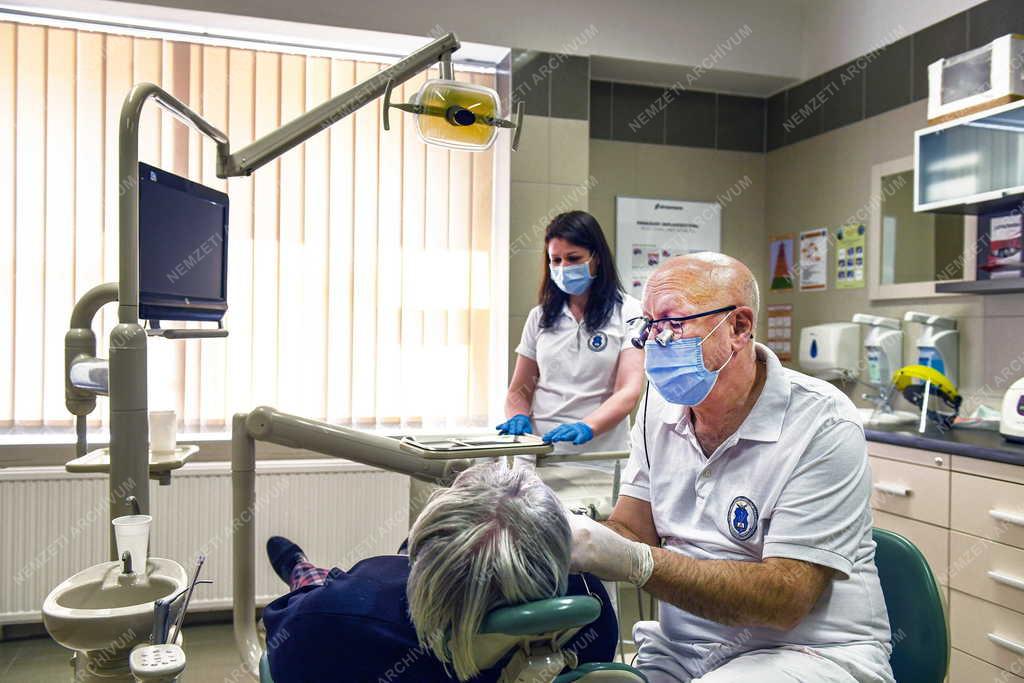 Egészségügy - Oktatás - Elismerés - Prof. Dr. Hegedűs Csaba egyetemi tanár