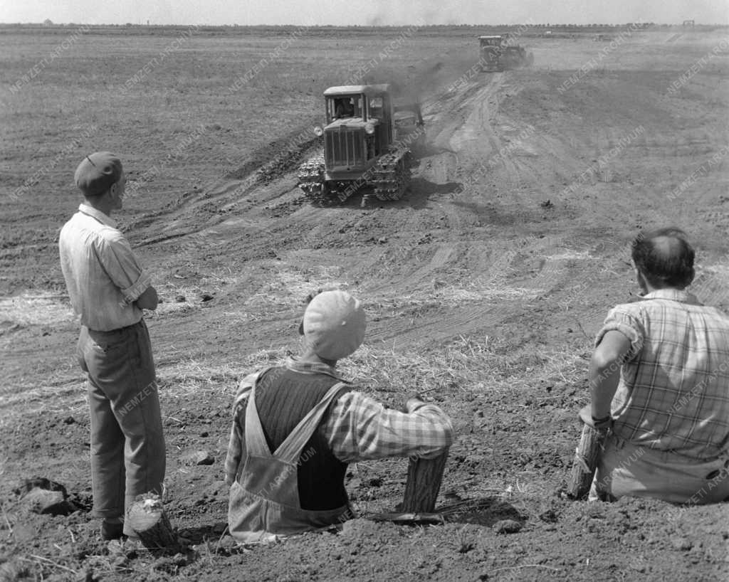 Mezőgazdaság - Halastavat építenek Bánhalmán