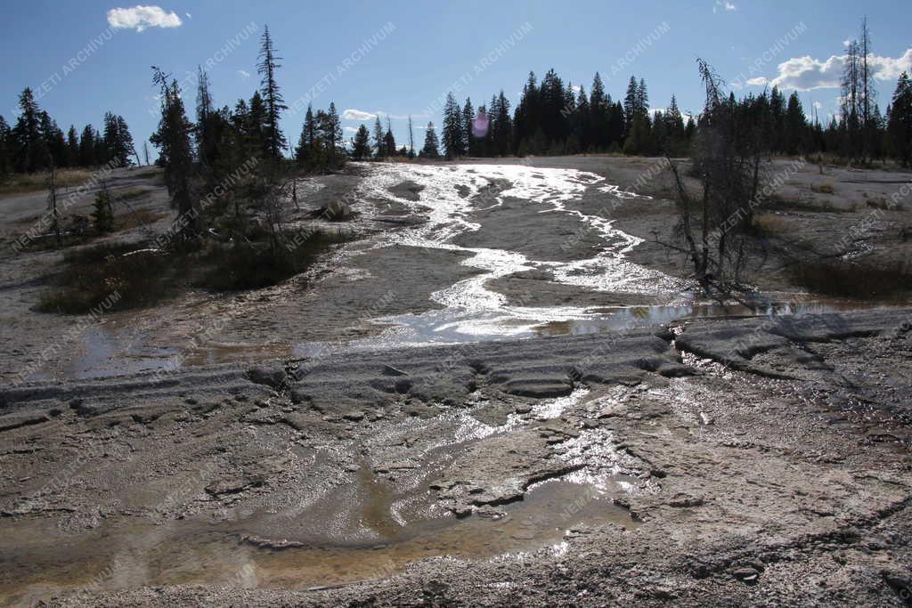 Természet - Yellowstone Nemzeti Park