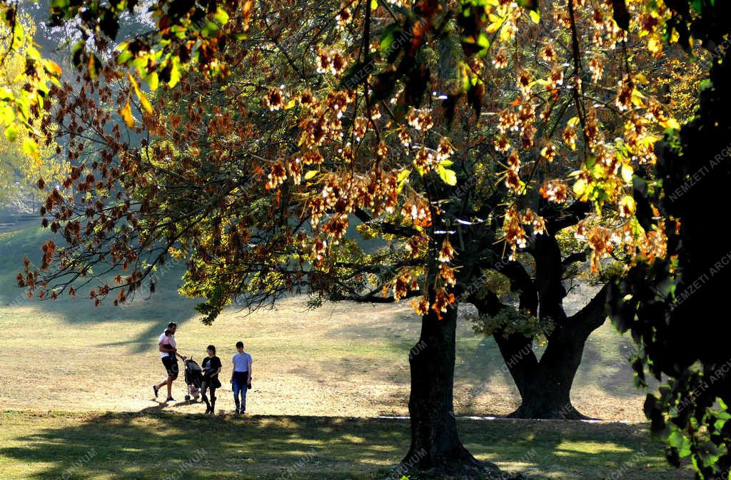 Természet - Budapest - Nyárias ősz a fővárosban