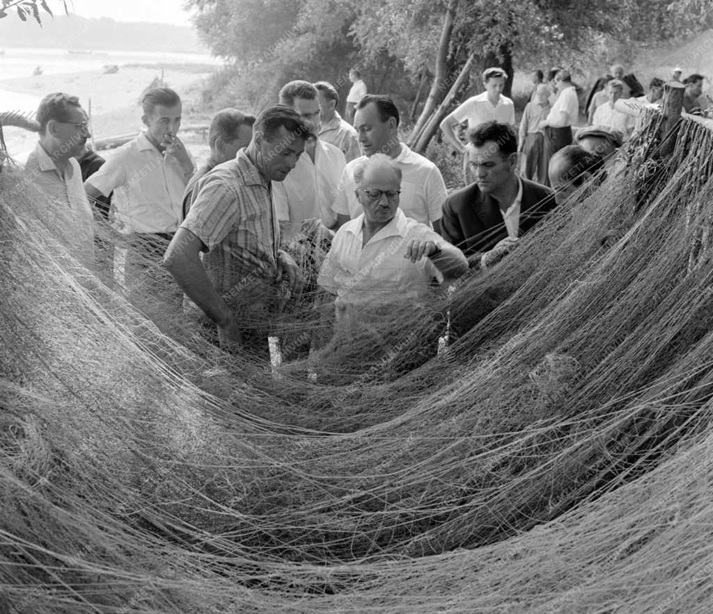 Mezőgazdaság - Halászati Termelőszövetkezetek Központi Intézőbizottsága