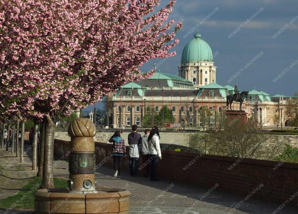 Városkép - Budapest -  Virágba borult a Tóth Árpád sétány