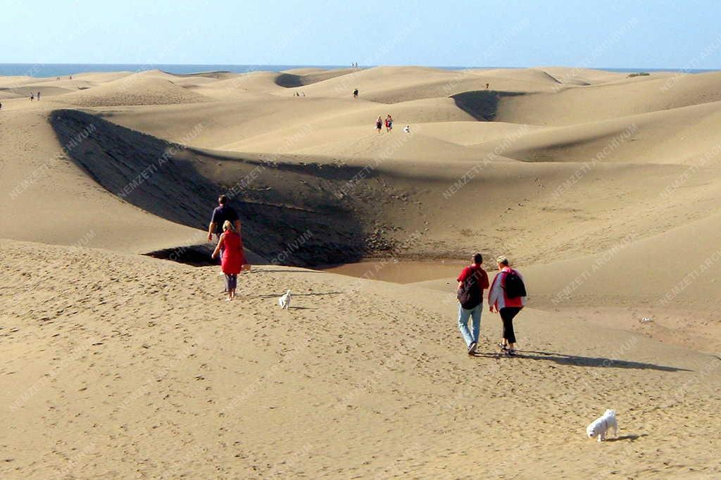 Gran canaria - Sivatagi táj Maspalomason